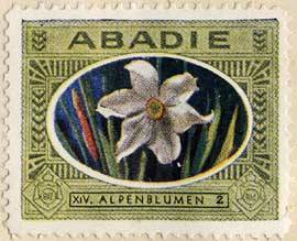 Alpenblumen
