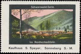 Im Reichenbachtale Schwarzwald