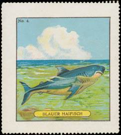 Blauer Haifisch
