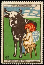 Milch von der Kuh