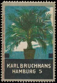 Karl Bruchhans