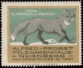 Fuchs-Nord Amerika und Sibirien