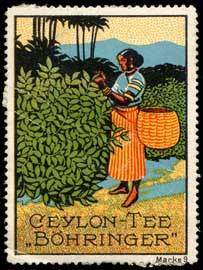 Ceylon-Tee