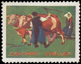 Bauer mit Frau und Kuhgespann beim Pflügen