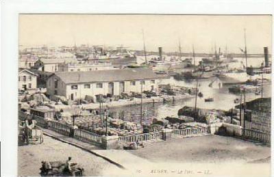 Alger-Algier ca 1900 Algerien-Afrika Hafen