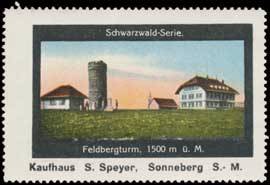 Feldbergturm Schwarzwald