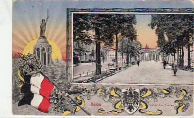 Berlin Mitte Unter den Linden Patriotische AK ca 1910