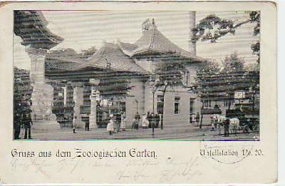Berlin Tiergarten zooloischer Garten 1901