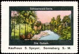 Die Gutach Schwarzwald