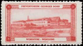 Preventorium Georges Born - Wenduyne - Wenduine