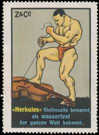 Herkules Violinsaite benannt, als wasserfest der ganzen Welt bekannt.