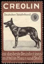 Deutscher Schäferhund