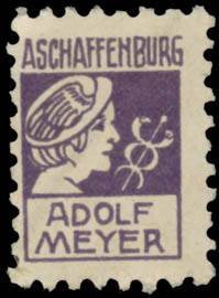 Adolf Meyer