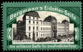 Schloss Darmstadt