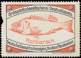 Rotbarsch-Fisch