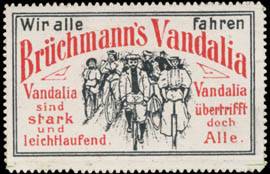 Brüchmanns Vandalia Fahrrad