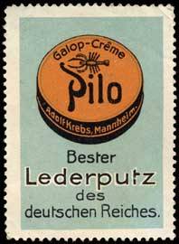 Pilo Lederputz