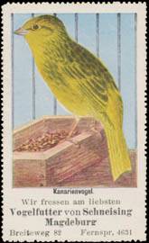 Kanarienvogel