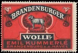 Brandenburger Schaf-Wolle
