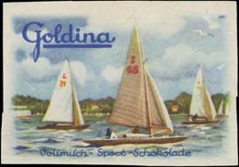 Goldina Vollmilch Sport Schokolade