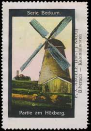 Beckum - Partie am Höxberg mit Windmühle
