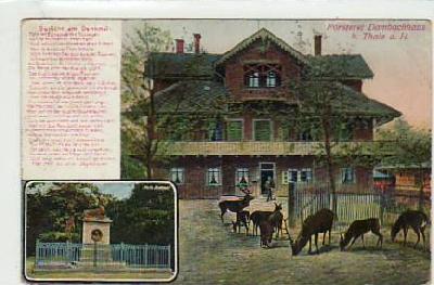 Thale im Harz Försterei Dambachhaus , Wild-Tiere 1916