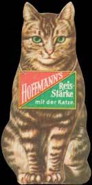 Hoffmanns Reisstärke mit der Katze