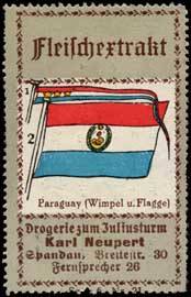 Paraguay-Wimpel und Flagge