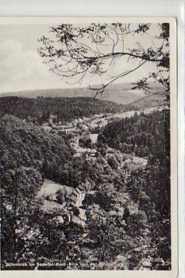 Altenbrak Bodetal,Harz von der Schöneburg ca 1950