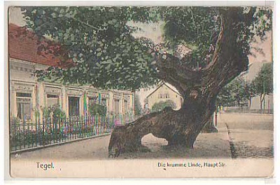 Berlin Tegel Hauptstrasse 1909