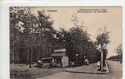 Berlin Spandau Nieder-Neuendorfer Allee ca 1915