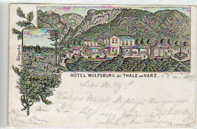 Thale im Harz Litho Hotel Wolfsburg 1897
