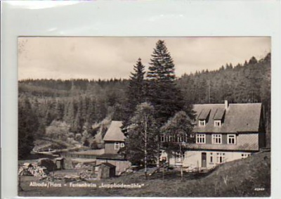 Allrode Harz Ferienheim Luppbodemühle 1961