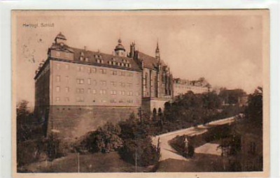 Altenburg Schloss besondere Rückseite 1914
