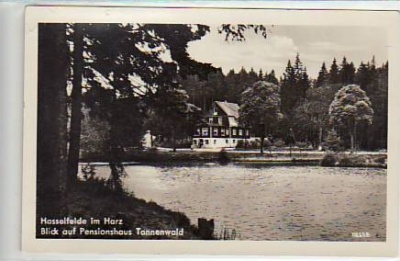 Hasselfelde im Harz Pension Tannenwald 1953