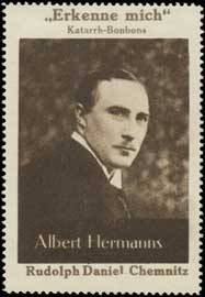Albert Hermanns