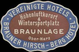 Brauner Hirsch - Berg Hotel