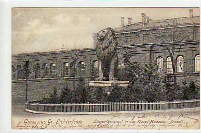 Berlin Lichterfelde Löwen-Denkmal 1904