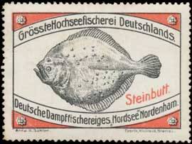 Steinbutt-Fisch