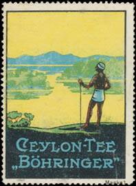 Ceylon Tee Böhringer