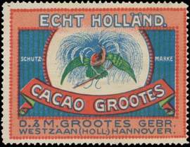 Echt holländischer Cacao