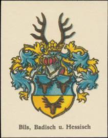Bils (Baden, Hessen) Wappen