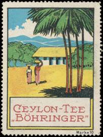 Ceylon Tee Böhringer
