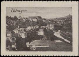 Totalansicht von Tübingen