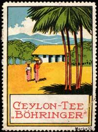 Ceylon-Tee