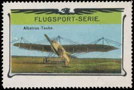 Albatros-Taube
