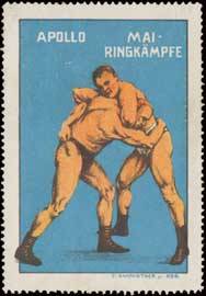 Sport Ringkampf