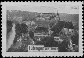 Tübingen von Osten