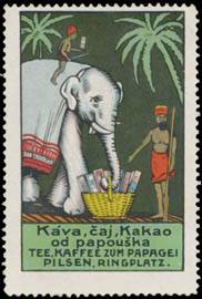 Elefant mit Kakao