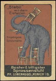 Stabil-Stuhl mit dem Elefant